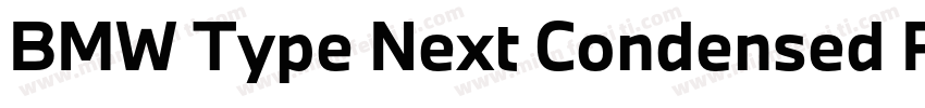 BMW Type Next Condensed Pro Light字体转换